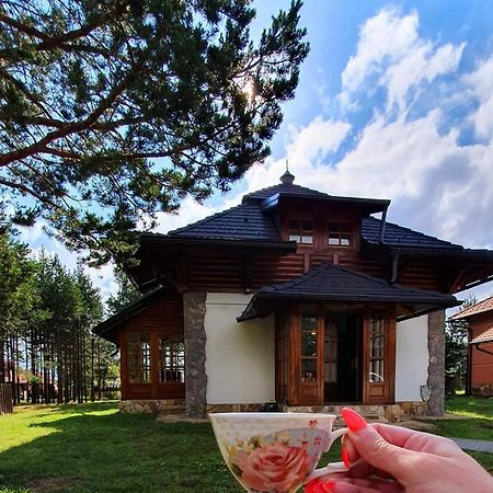 Vila Panic Zlatibor Extérieur photo
