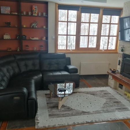 Vila Panic Zlatibor Extérieur photo