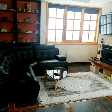 Vila Panic Zlatibor Extérieur photo