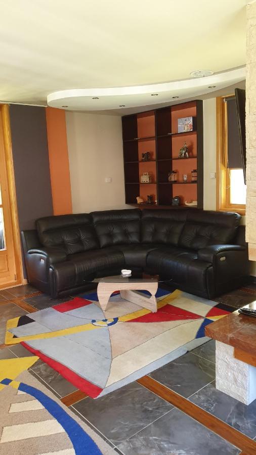 Vila Panic Zlatibor Extérieur photo