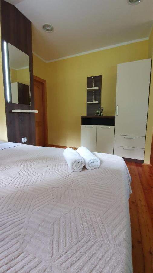 Vila Panic Zlatibor Extérieur photo