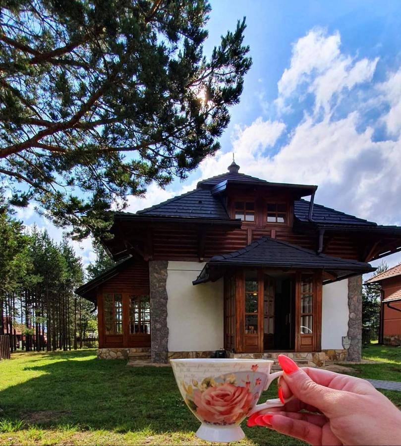 Vila Panic Zlatibor Extérieur photo