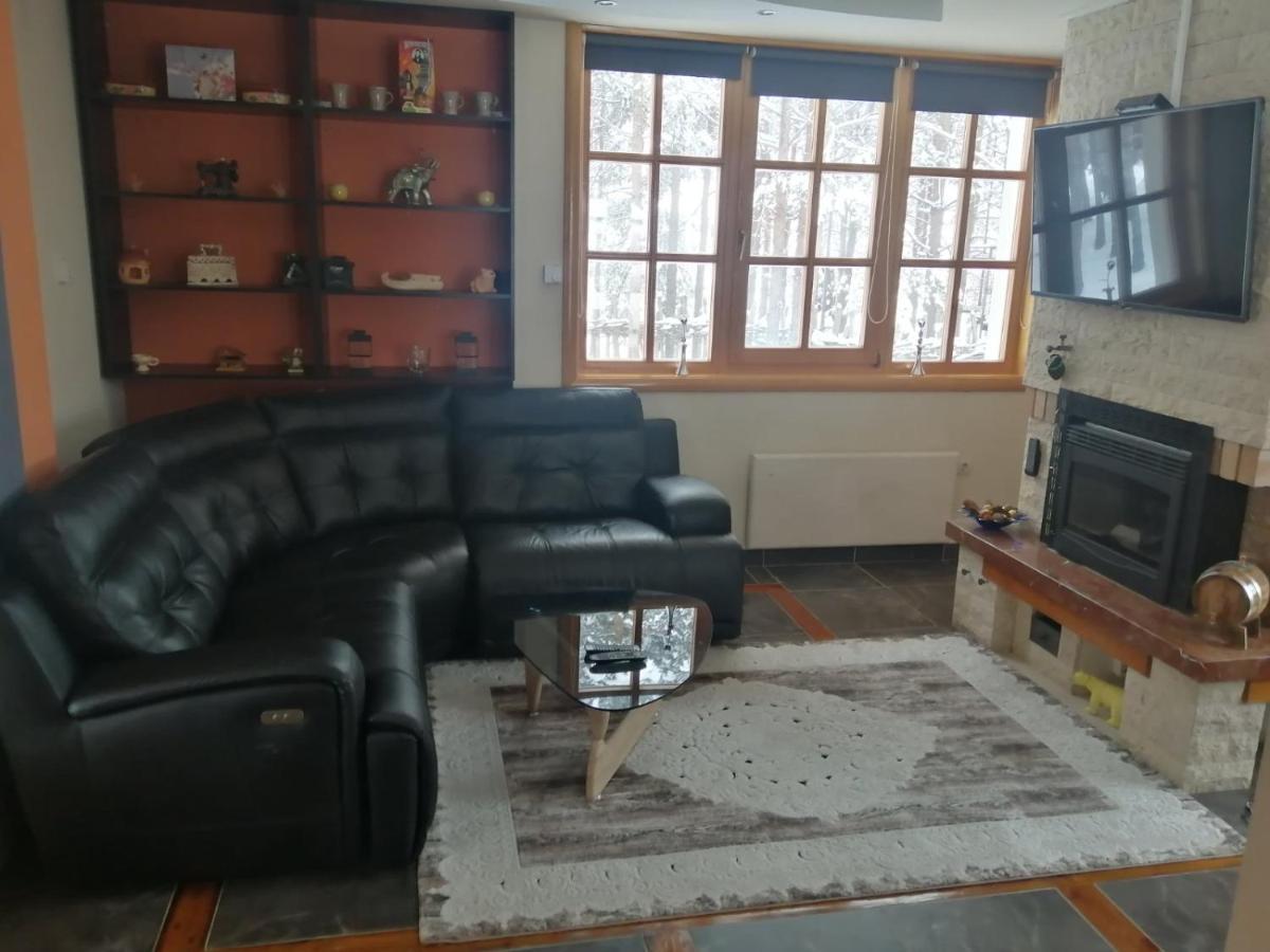 Vila Panic Zlatibor Extérieur photo