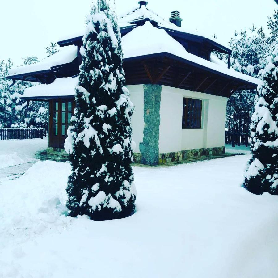 Vila Panic Zlatibor Extérieur photo