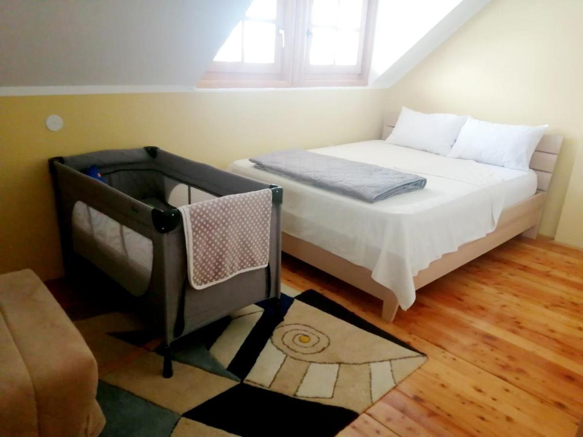 Vila Panic Zlatibor Extérieur photo
