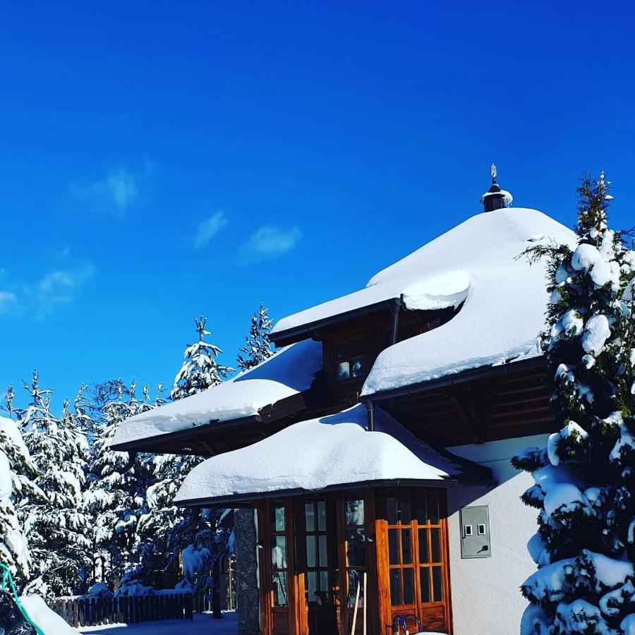 Vila Panic Zlatibor Extérieur photo